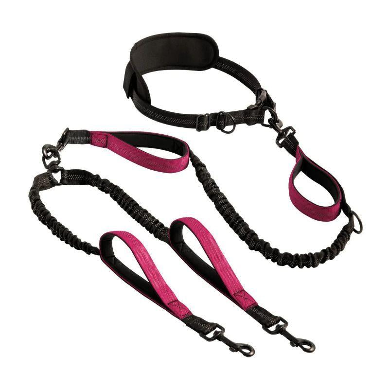2025 Two Dogs One Leash Enhanced Edition - Dual (2) Dog Retractable Leash, Auto-Untangles, Supports up to 30Lb Dogs,10Ft Retractable Leash,Two Dogs One Leash Collar Tangle Free Leash Dog Accessories Dog Accessories Durable Bungee Harnesses